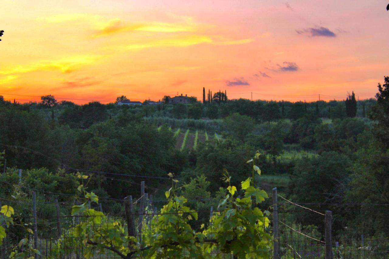 B&B Terre Toscane Ciggiano Luaran gambar
