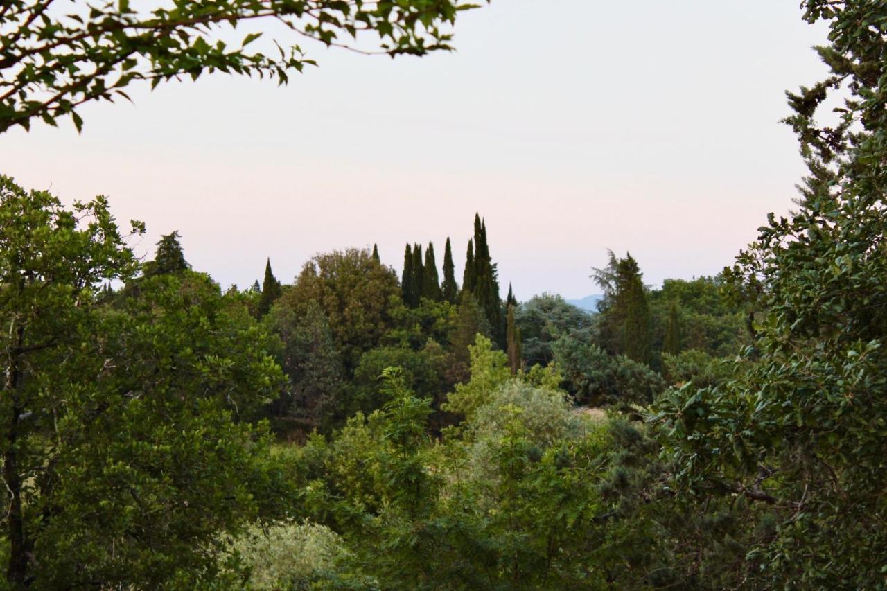 B&B Terre Toscane Ciggiano Luaran gambar